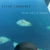 Steve Cardenas - Signpost Up Ahead