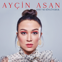 Ayçin Asan