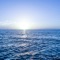 You Are Far from the Shallow Now - Lessebos-Elvis lyrics