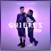 Quieres (feat. J Emiliano) [Remix] artwork