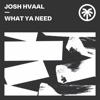 What Ya Need - Single