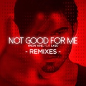 Not Good for Me (The Remixes) [feat. Sailo] artwork