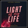 Light of My Life - Single