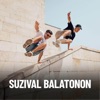 Suzival Balatonon - Single