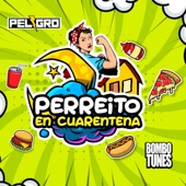 Perreito en Cuarentena (feat. Eli-Bet) artwork