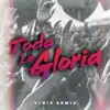 Toda la gloria (feat. artury pepper, Ka2sh & Ritzy escobar) [v1nid Remix] - Single album lyrics, reviews, download