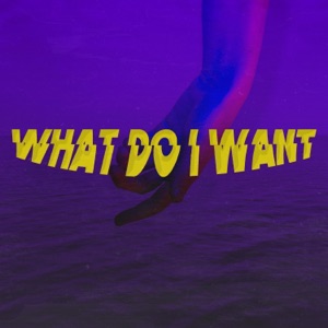 What Do I Want - Single