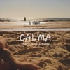 Calma (Bachata Remix) [feat. Stefano Syzer Germanotta] - Single