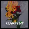 Before I Die (100 Mill) - Single album lyrics, reviews, download