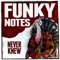 Never Knew - Funky Notes lyrics