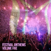 Festival Anthems, Vol. 5 artwork