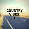 Country Vibes 1 album lyrics, reviews, download