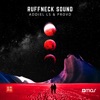 Ruffneck Sound - Single