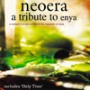 A Tribute to Enya, 2000