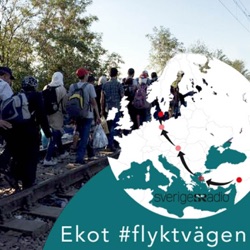 Tema 2015: Flyktv&auml;gen