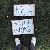 I'm Right You're Wrong artwork