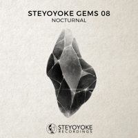 Various Artists - Steyoyoke Gems Nocturnal 08 artwork
