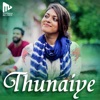 Anand Sreeraj - Thunaiye