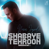 Shabhaye Tehroon (Remix) artwork
