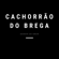 Doente de Amor - Cachorrão do Brega