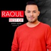 Best of Raoul: 2000-2020, Vol. 3