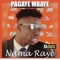 Nama Ray (feat. Pape Birahim) cover
