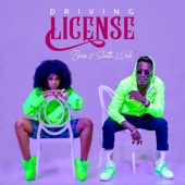 Driving License (feat. Shatta Wale) artwork