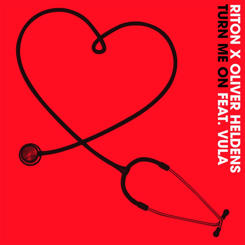 Riton Turn Me On (feat. Vula)