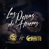 Las Penas De Amores (Feat. El Coyote Y Su Banda Tierra Santa) - Single