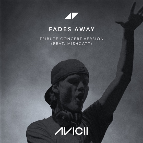 Cover artwork for Fades Away (feat. MishCatt)