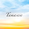 Tamasese - Single