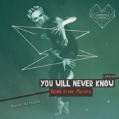 You Will Never Know (Radio Edit) artwork