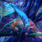 Chameleon - EP - Swomp