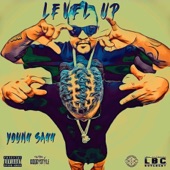 Level Up artwork