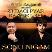 Zindagi Pyar Ka Geet Hai artwork