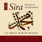 Sira: A Journey of Transformation artwork