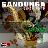 Soy Sandunga artwork