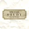 STUDY feat. BIGMAMA - Single album lyrics, reviews, download