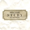 STUDY feat. BIGMAMA - Single