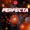 Merci Perfecta - Single