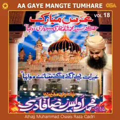 Aa Gaye Mangte Tumhare, Vol. 18 by Alhajj Muhammad Owais Raza Qadri album reviews, ratings, credits