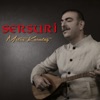 Sersuri, 2019