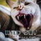 Wild Cat (Extended Mix) - Kenji Arai lyrics