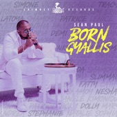 Born Gyallis (feat. Sean Paul) artwork