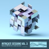 Intricate Sessions, Vol. 3 Mixed by Max Meyer & Vadim Soloviev artwork