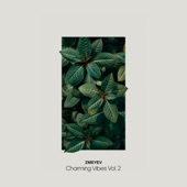 Charming Vibes, Vol. 2 - EP artwork