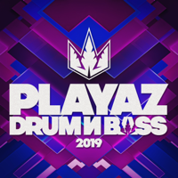 Various Artists - Playaz Drum & Bass 2019 artwork