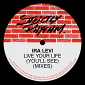 Live Your Life (You'll See) [Wamdue Kids East Coast Vocal Mix] artwork