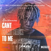 Can't Come Back to Me artwork