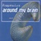 Around My Brain (Radio Friendly Edit) [Radio Friendly Edit] artwork